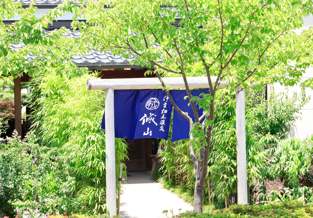 源頼朝縁の城願寺より移植した竹林がお出迎え致します。