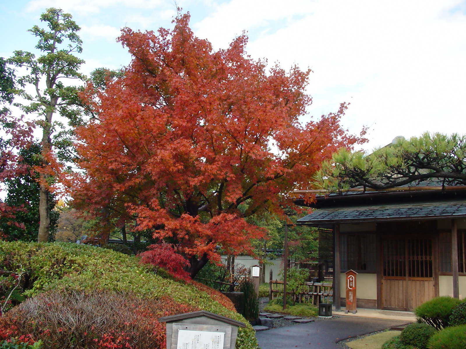 紅葉山庭園