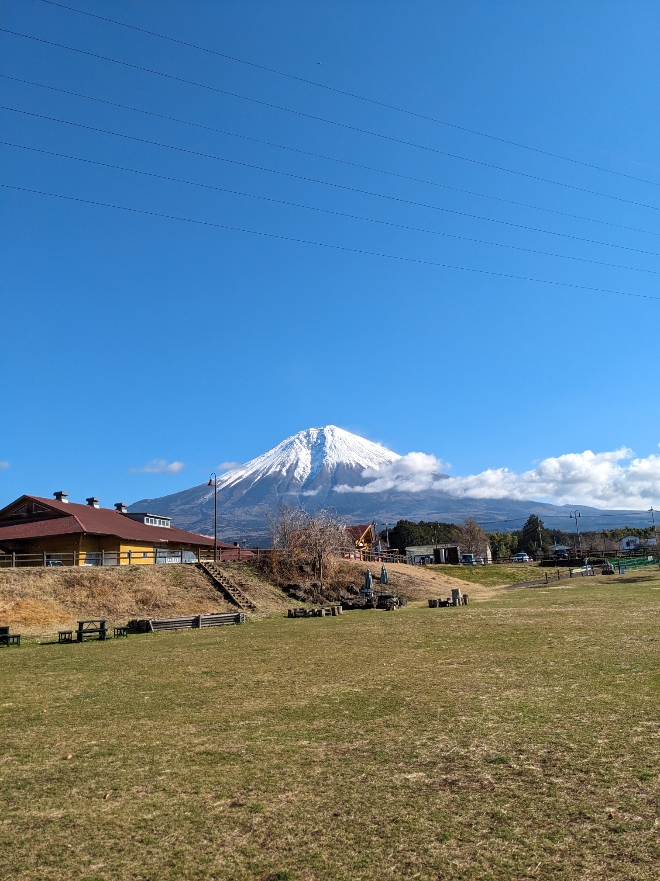芝生広場からの富士山