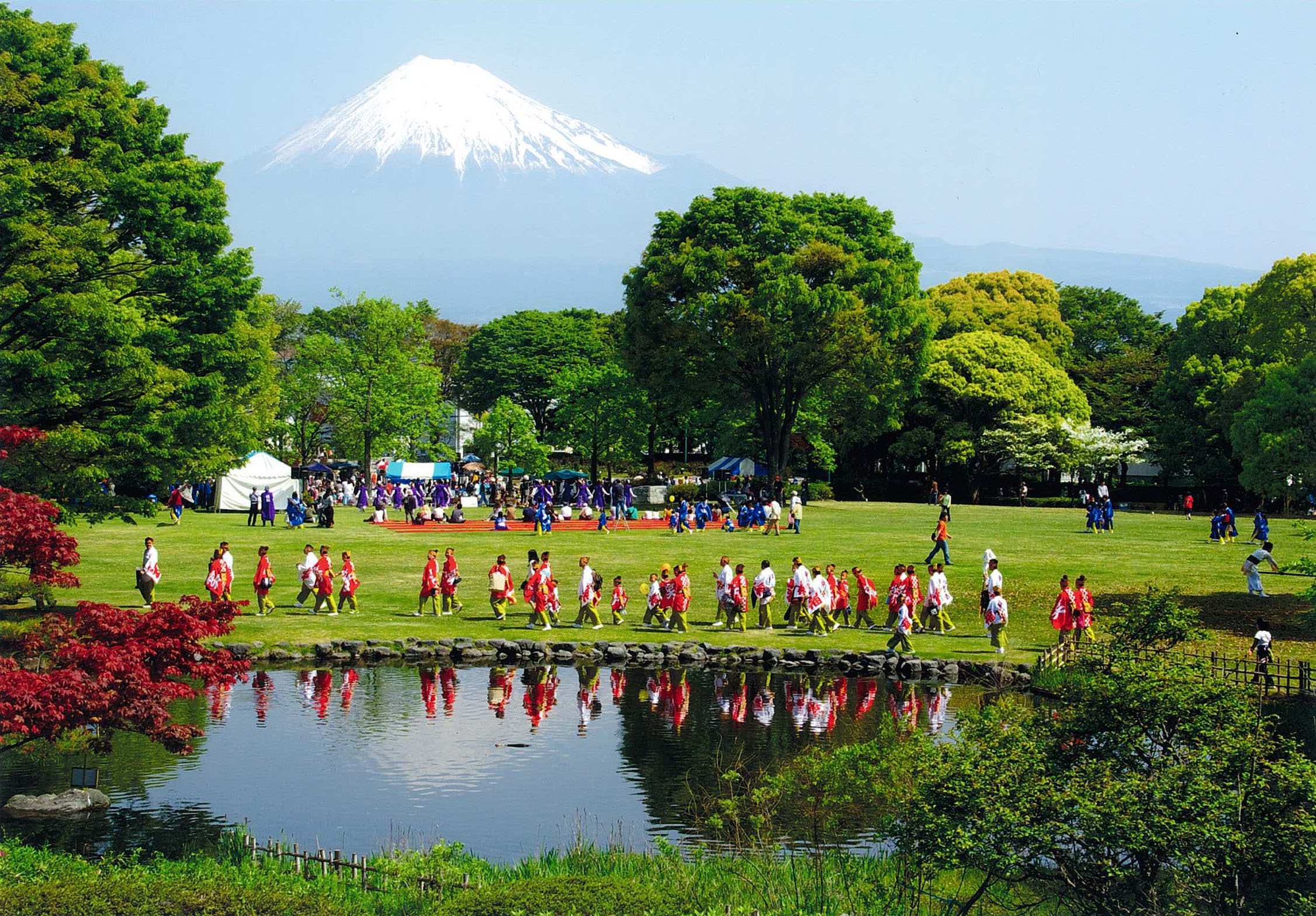 第5回富士山百景写真コンテストエリア賞「春の中央公園」