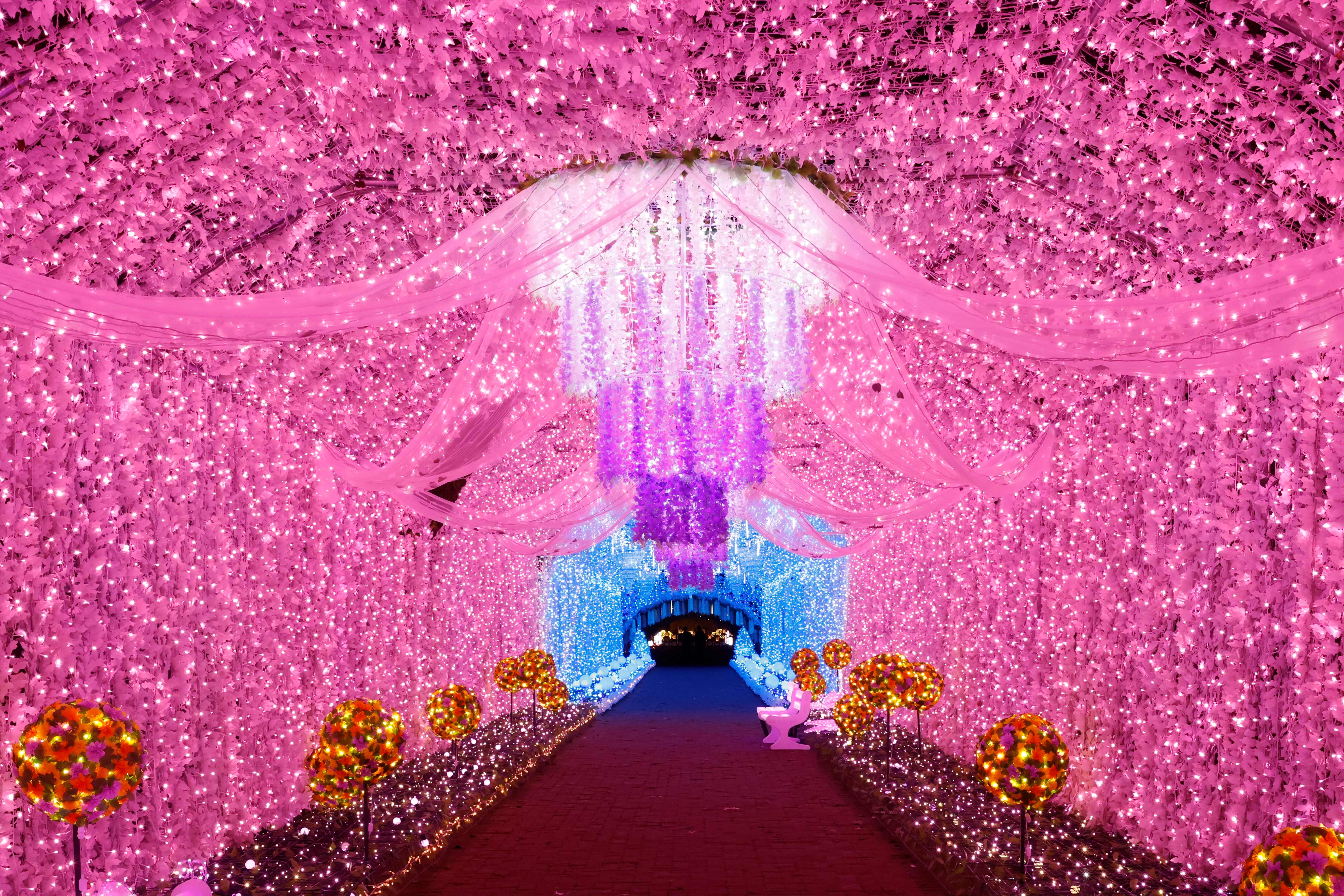 光のトンネル　プリンセスロード