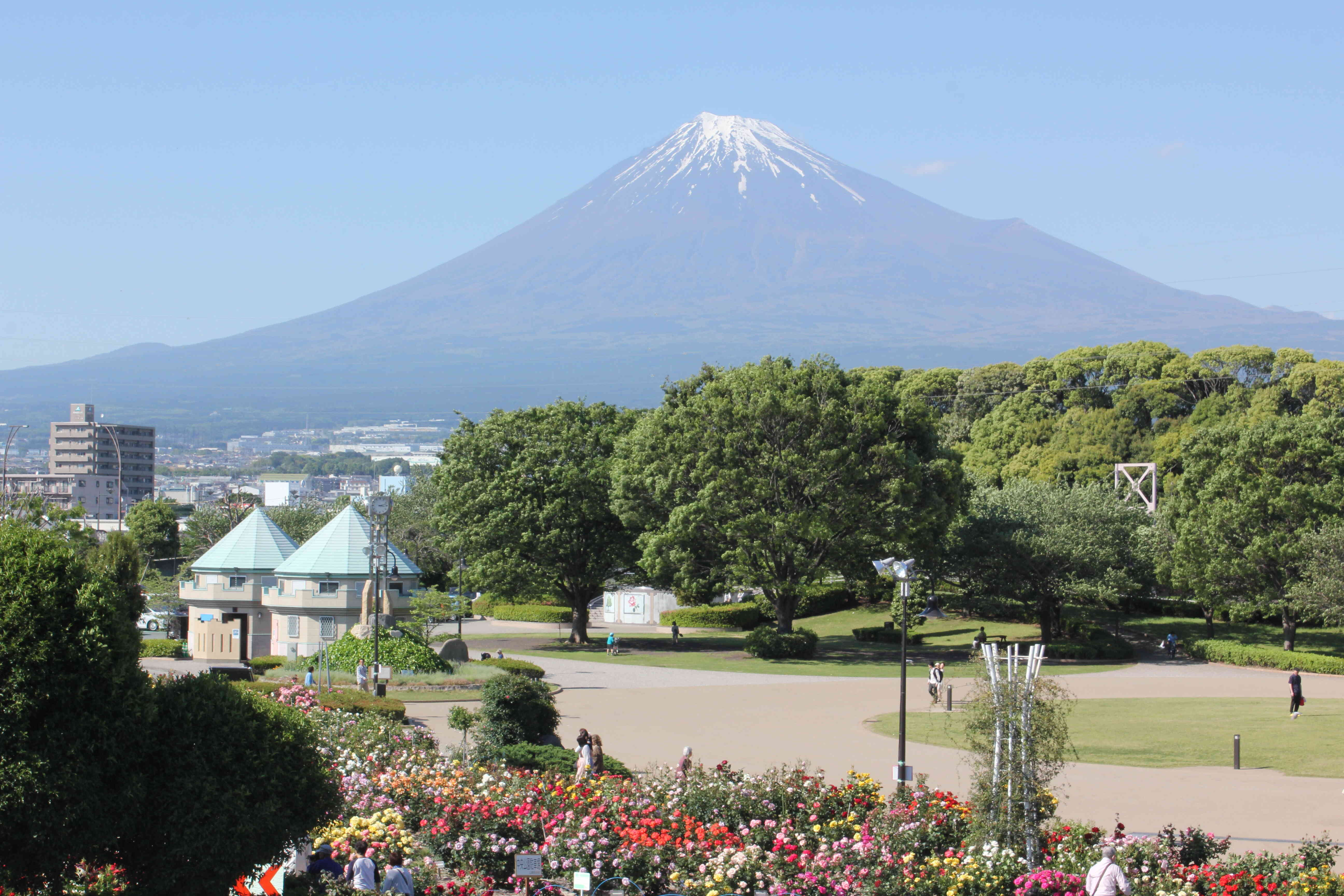 200品種1500本の薔薇と富士山が一望できる展望レストランです