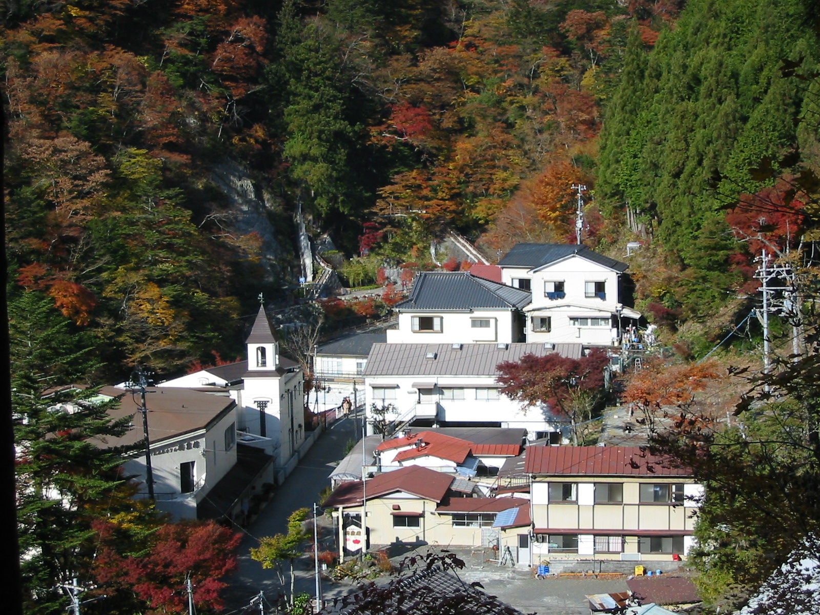 梅薫楼全景