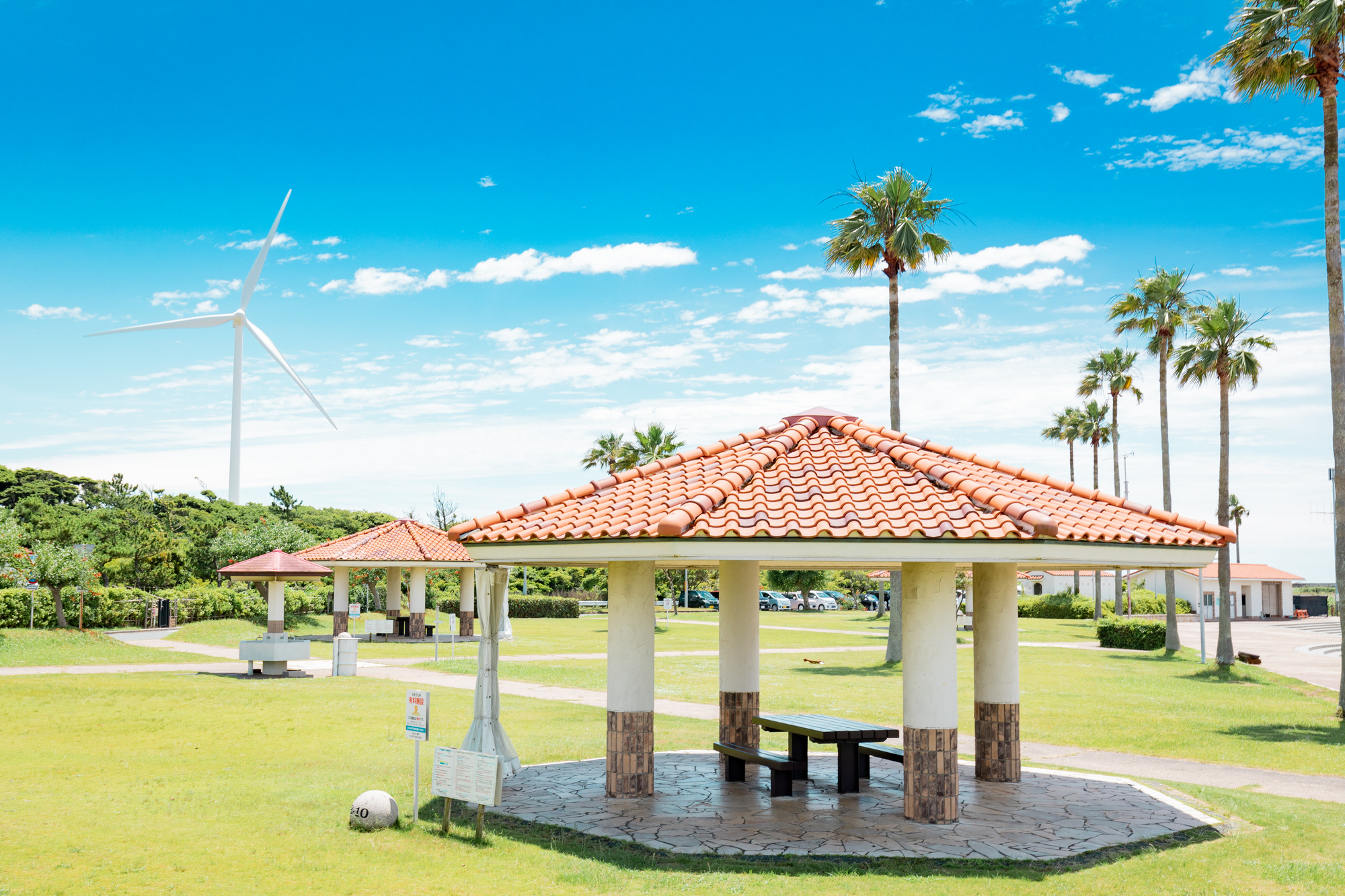 磐田 市 竜洋 海洋 公園