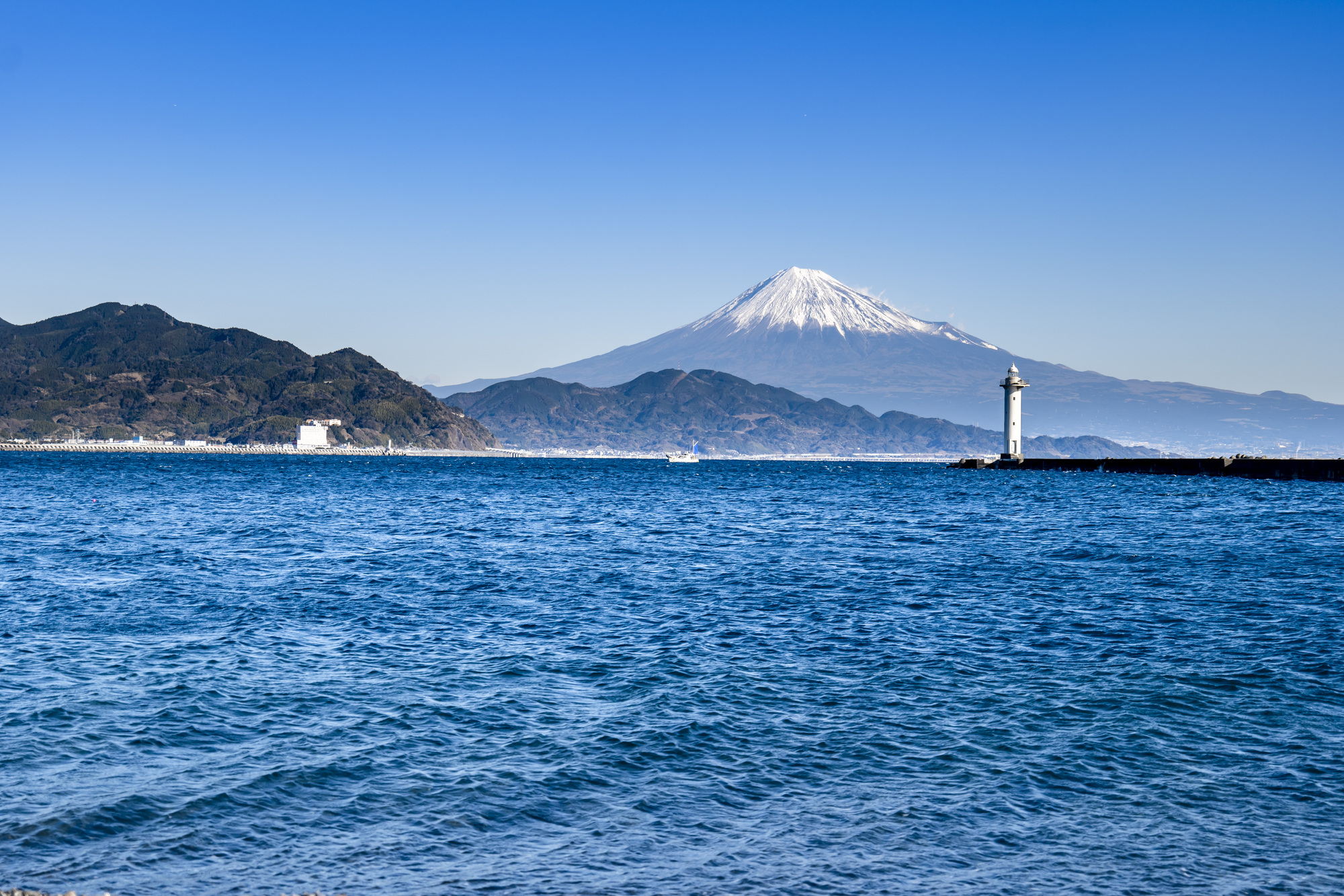 公の場での発言・インタビュー報道記録