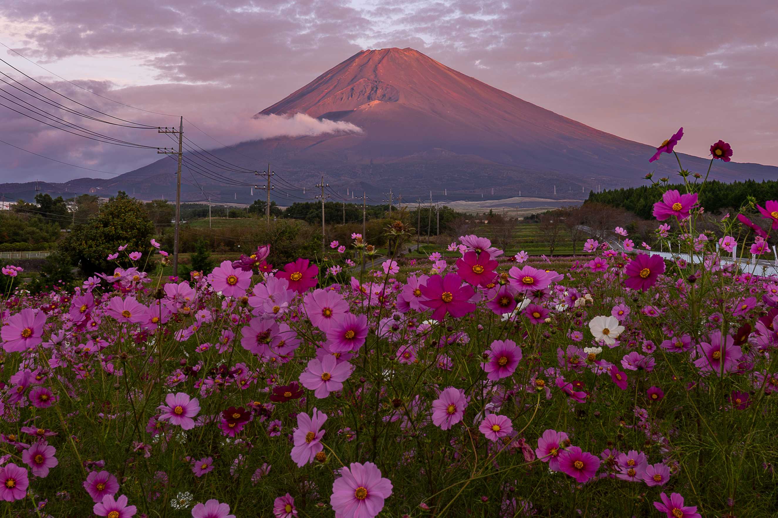 霊峰に秋光さして