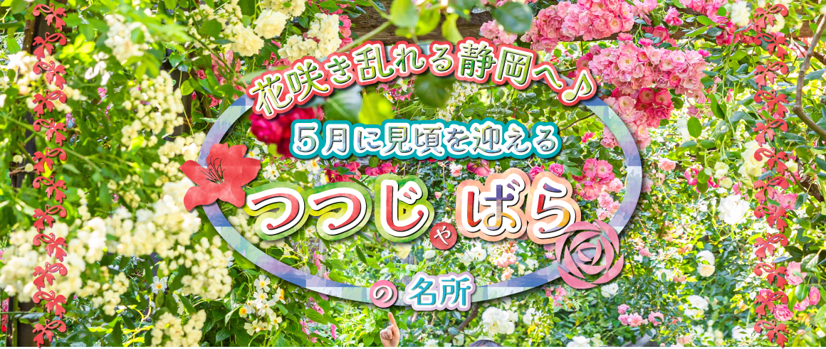 バラ・ツツジ名所