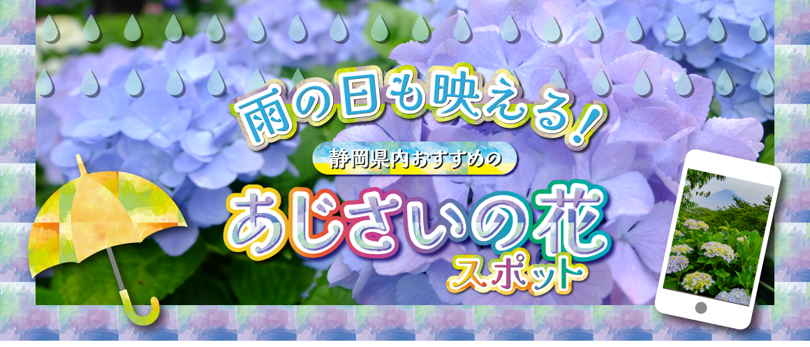 おすすめあじさいスポット