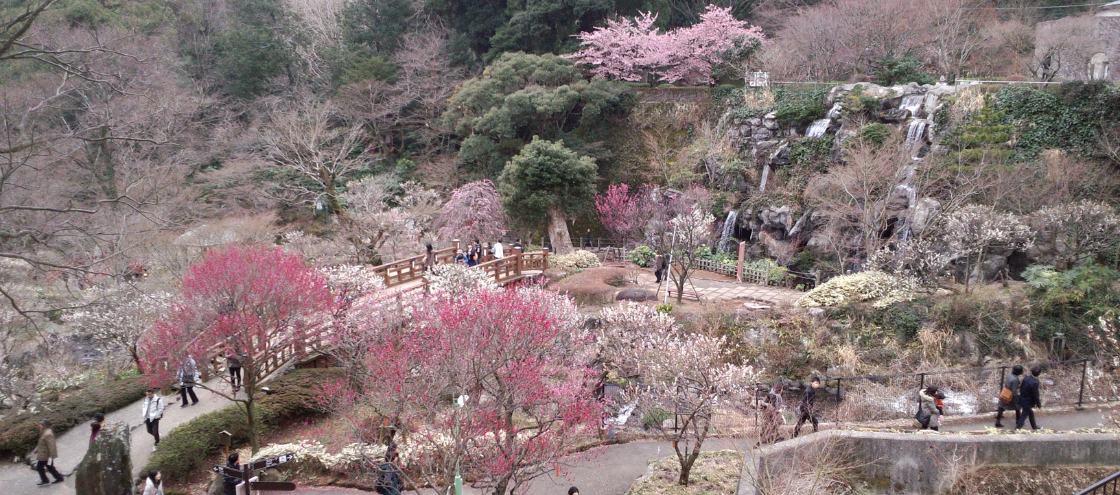 熱海梅まつりメイン