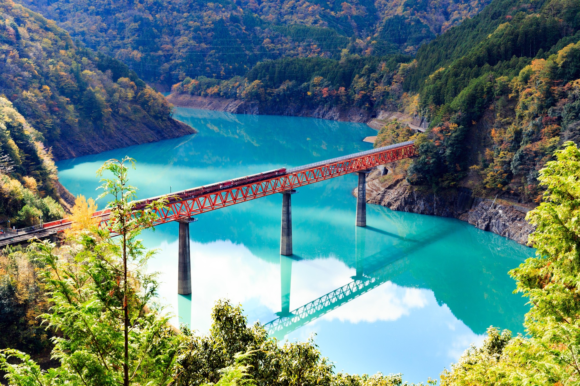 フォトライブラリー