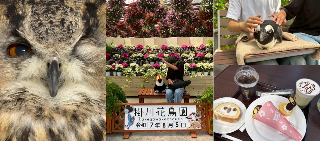 掛川花鳥園メイン