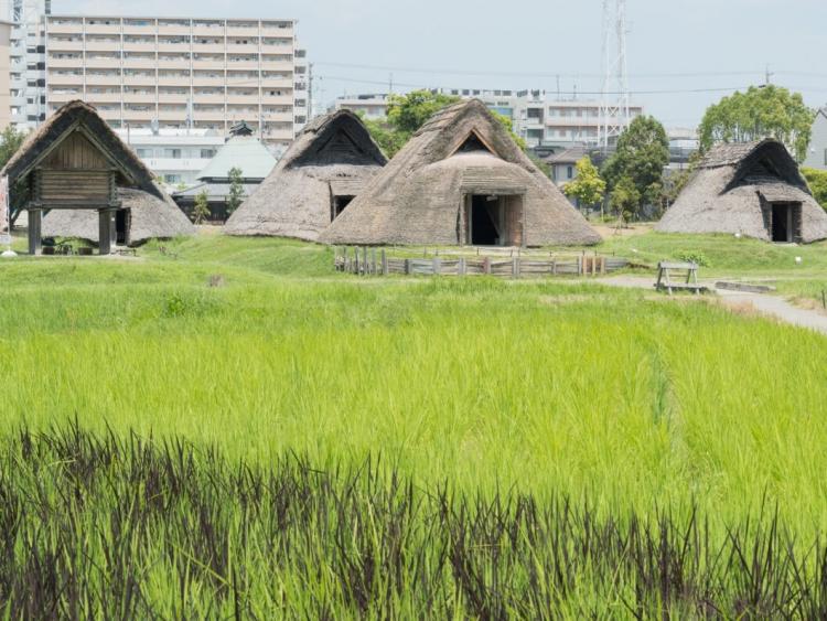 登呂遺跡