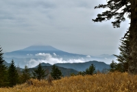 photo?id=1002&suffix=t