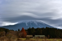 photo?id=1003&suffix=t