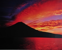 photo?id=1004&suffix=t