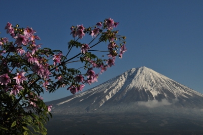 photo?id=1006&suffix=m