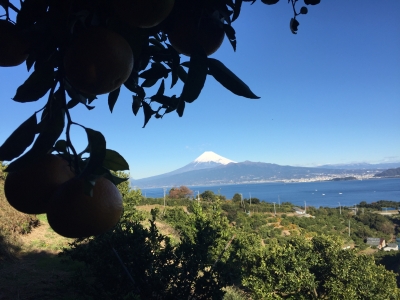 photo?id=1009&suffix=m