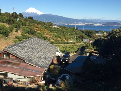 photo?id=1010&suffix=m