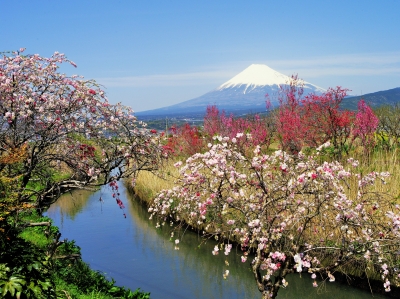 photo?id=1014&suffix=m