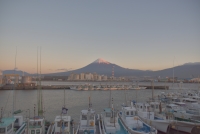 photo?id=1015&suffix=t
