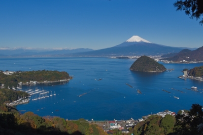 photo?id=1016&suffix=m