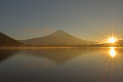 photo?id=1017&suffix=m