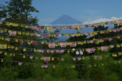 photo?id=1018&suffix=m