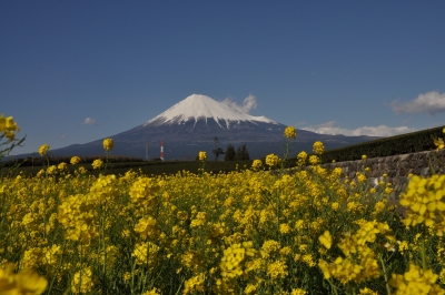 photo?id=1020&suffix=m