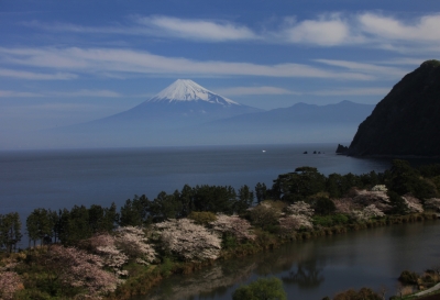 photo?id=1021&suffix=m