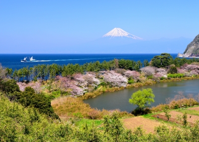 photo?id=1023&suffix=m