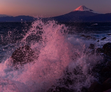 photo?id=1025&suffix=m