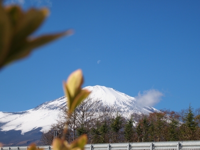 photo?id=1027&suffix=m