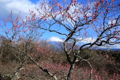 photo?id=1028&suffix=m