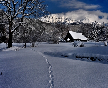 photo?id=10343&suffix=m