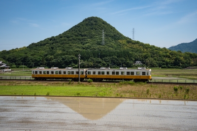 photo?id=10399&suffix=m