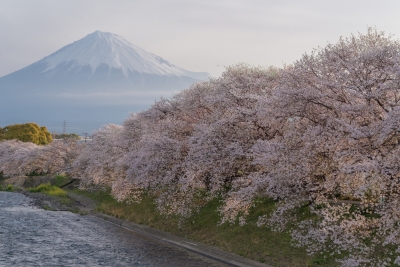 photo?id=10404&suffix=m