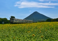 photo?id=10428&suffix=t