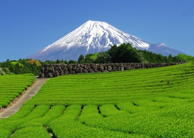 photo?id=10471&suffix=m