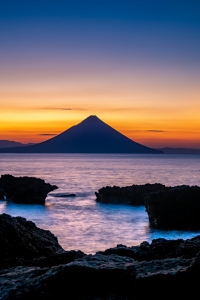 photo?id=10478&suffix=m