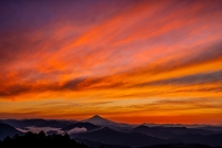 photo?id=10483&suffix=t