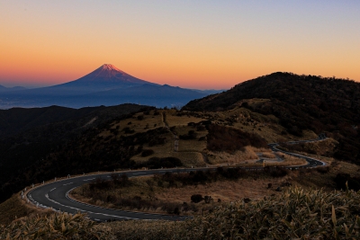 photo?id=10488&suffix=m