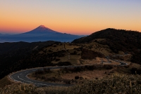 photo?id=10488&suffix=t