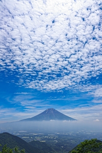 photo?id=10489&suffix=m