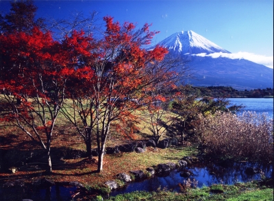 photo?id=1049&suffix=m