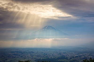 photo?id=10492&suffix=m