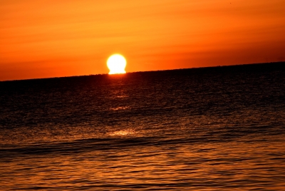 photo?id=1051&suffix=m