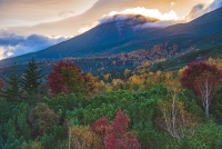 photo?id=10519&suffix=t