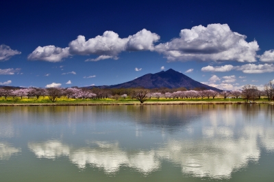 photo?id=10550&suffix=m