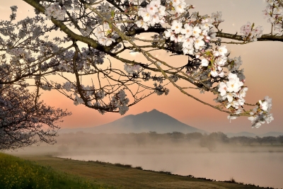 photo?id=10553&suffix=m