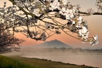 photo?id=10553&suffix=t